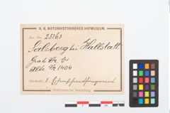 Etikett zu Eisengriffangelmesser (NHMW-PRAE-025163)